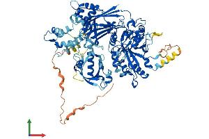 AlphaFold protein structure predicition of Human Recombinant PLCD3 Protein, UniprotID Q8N3E9
