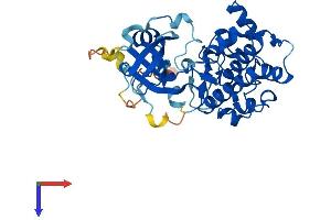 AlphaFold protein structure predicition of Mouse Recombinant Sgk2 Protein, UniprotID Q9QZS5