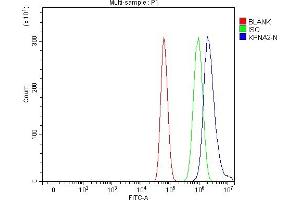 Flow Cytometry analysis of U87 cells using anti-KPNA2 antibody (ABIN7601936).