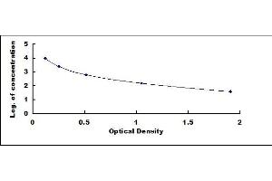 Typical standard curve