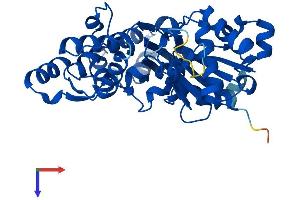 AlphaFold protein structure predicition of Mouse Recombinant Actg1 Protein, UniprotID P63260