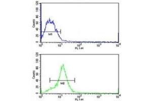 HMGA1 antibody flow cytometric analysis of MCF-7 cells (green) compared to a negative control (blue).