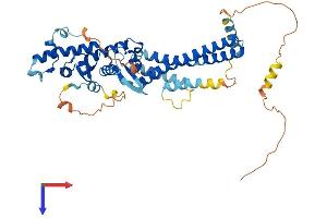 AlphaFold protein structure predicition of Mouse Recombinant Chmp7 Protein, UniprotID Q8R1T1
