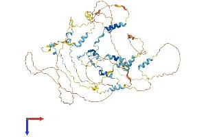 AlphaFold protein structure predicition of Human Recombinant CAST Protein, UniprotID P20810