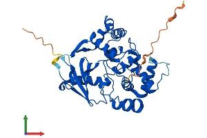 AlphaFold protein structure predicition of Mouse Recombinant Ogg1 Protein, UniprotID O08760