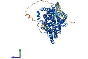 AlphaFold protein structure predicition of Mouse Recombinant Slc5a5 Protein, UniprotID Q99PN0
