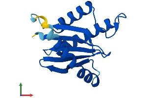 AlphaFold protein structure predicition of Human Recombinant TRAPPC2 Protein, UniprotID P0DI81