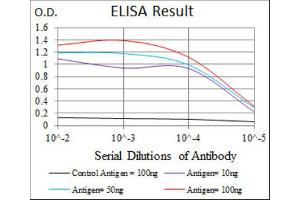 ELISA image for anti-Hexosaminidase A (HEXA) antibody (ABIN1846273) (Hexosaminidase A anticorps)
