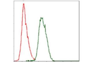Flow Cytometry (FACS) image for anti-Coactosin-Like Protein antibody (ABIN1846261) (COTL1 anticorps)