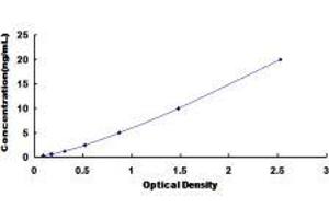 ELISA image for Dipeptidyl-Peptidase 8 (DPP8) ELISA Kit (ABIN429362)