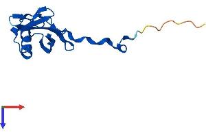 AlphaFold protein structure predicition of Mouse Recombinant Elob Protein, UniprotID P62869