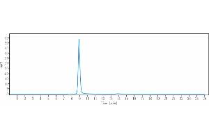 The purity of Anti-LAMP1 / CD107a Reference Antibody ( SAR428926) is 100 % , determined by SEC-HPLC.