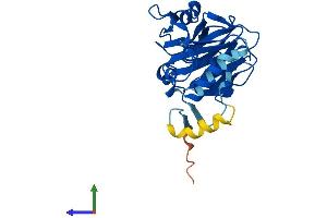 AlphaFold protein structure predicition of Mouse Recombinant Spsb1 Protein, UniprotID Q9D5L7