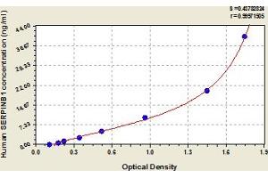 Typical Standard Curve (SERPINB1 Kit ELISA)