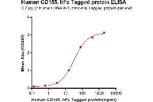 ELISA plate pre-coated by 2 μg/mL (100 μL/well) Human DNAM-1, mFc-His tagged protein (ABIN6961117) can bind Human CD155, hFc Tagged protein(ABIN6961168) in a linear range of 0.