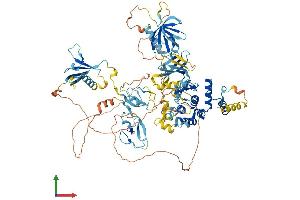 AlphaFold protein structure predicition of Human Recombinant PRKD1 Protein, UniprotID Q15139