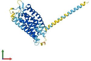 AlphaFold protein structure predicition of Mouse Recombinant Lpar6 Protein, UniprotID Q8BMC0
