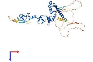 AlphaFold protein structure predicition of Human Recombinant LMX1A Protein, UniprotID Q8TE12