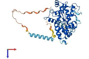 AlphaFold protein structure predicition of Human Recombinant CHST14 Protein, UniprotID Q8NCH0