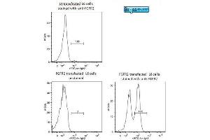 Image was kindly submitted by Dr.