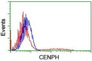 HEK293T cells transfected with either RC204531 overexpress plasmid (Red) or empty vector control plasmid (Blue) were immunostained by anti-CENPH antibody (ABIN2455251), and then analyzed by flow cytometry. (CENPH anticorps)