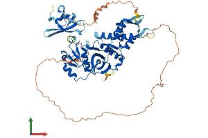 AlphaFold protein structure predicition of Mouse Recombinant Kat5 Protein, UniprotID Q8CHK4