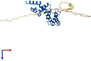 AlphaFold protein structure predicition of Mouse Recombinant Rgs20 Protein, UniprotID Q9QZB1