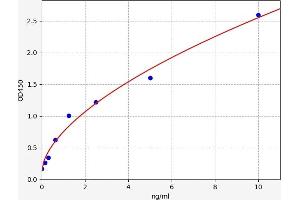 Sulfatase 2 (SULF2) ELISA Kit