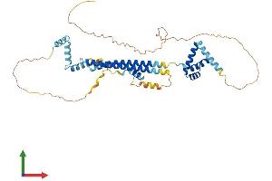 AlphaFold protein structure predicition of Mouse Recombinant Pbx2 Protein, UniprotID O35984