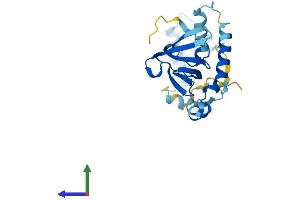 AlphaFold protein structure predicition of Mouse Recombinant Pop4 Protein, UniprotID Q9CR08