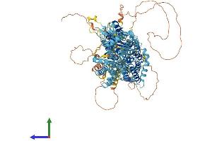 AlphaFold protein structure predicition of Mouse Recombinant Slc4a10 Protein, UniprotID Q5DTL9