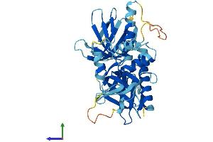 AlphaFold protein structure predicition of Human Recombinant PLEK Protein, UniprotID P08567