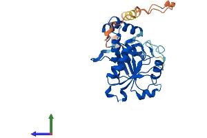 AlphaFold protein structure predicition of Human Recombinant YJEFN3 Protein, UniprotID A6XGL0