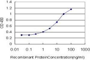 Detection limit for recombinant GST tagged FOXO3A is approximately 0. (FOXO3 anticorps  (AA 361-460))
