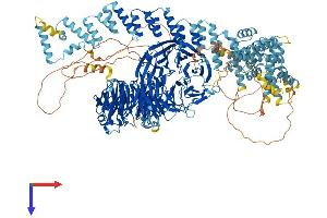 AlphaFold protein structure predicition of Human Recombinant GEMIN5 Protein, UniprotID Q8TEQ6