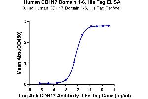 Immobilized Human CDH17 Domain 1-6, His Tag at 1_g/mL (100_l/Well) on the plate.