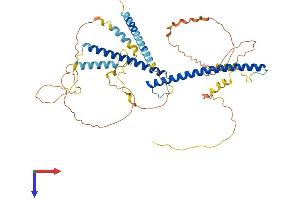 AlphaFold protein structure predicition of Human Recombinant TFEB Protein, UniprotID P19484