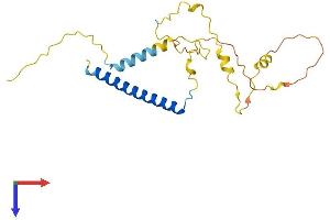 AlphaFold protein structure predicition of Human Recombinant MBD3L2 Protein, UniprotID Q8NHZ7