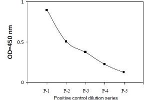 HeLa cells were treated with STS.