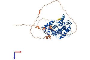 AlphaFold protein structure predicition of Mouse Recombinant Ccna2 Protein, UniprotID P51943