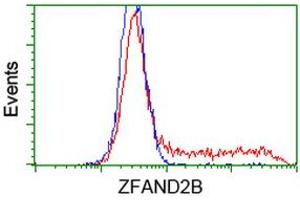 HEK293T cells transfected with either RC203822 overexpress plasmid (Red) or empty vector control plasmid (Blue) were immunostained by anti-ZFAND2B antibody (ABIN2454250), and then analyzed by flow cytometry. (ZFAND2B anticorps)