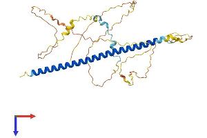 AlphaFold protein structure predicition of Mouse Recombinant Atf4 Protein, UniprotID Q06507