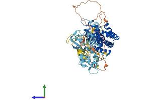 AlphaFold protein structure predicition of Human Recombinant RASGRP2 Protein, UniprotID Q7LDG7