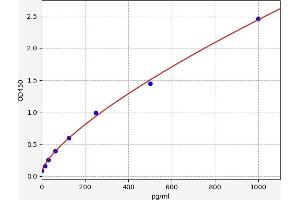 PDGF-AB Heterodimer ELISA Kit