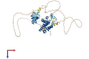 AlphaFold protein structure predicition of Mouse Recombinant Nr1d2 Protein, UniprotID Q60674