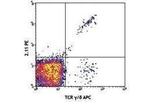 Flow Cytometry (FACS) image for anti-TCR V Gamma1.1/Cr4 antibody (PE) (ABIN2662881) (TCR V Gamma1.1/Cr4 anticorps (PE))