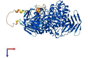 AlphaFold protein structure predicition of Human Recombinant GANC Protein, UniprotID Q8TET4
