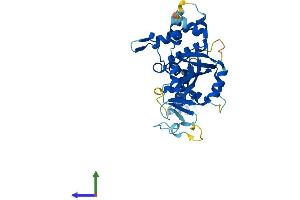 AlphaFold protein structure predicition of Mouse Recombinant Parp16 Protein, UniprotID Q7TMM8