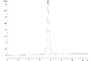 The purity of Human LRRC15 is greater than 95 % as determined by SEC-HPLC.