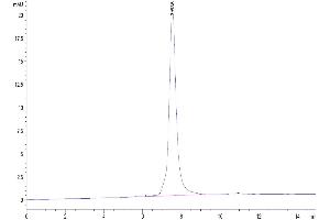 Size-exclusion chromatography-High Pressure Liquid Chromatography (SEC-HPLC) image for Leucine Rich Repeat Containing 15 (LRRC15) protein (His-Avi Tag) (ABIN7275215)